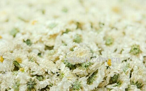 杭白菊、贡菊、滁菊、怀菊并列摆放,通过颜色、花型、大小进行对比,突出杭白菊花瓣更密集、花心更小、色泽更纯净的特点 杭白菊与其他菊花对比图