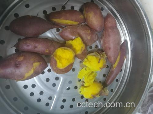一根蒸熟的济薯26号红薯被横向切开,露出金黄色至橙红色的薯肉,质地细腻湿润,边缘微微起泡,散发热气,旁边摆放一把不锈钢勺子,体现其软糯易挖取的特点 蒸熟的济薯26号切开状态