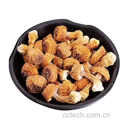 盛装在瓷碗中的姬松茸炖老鸽汤,色泽金黄,配料清晰可见,旁边摆放筷子和勺子 姬松茸炖老鸽成品图