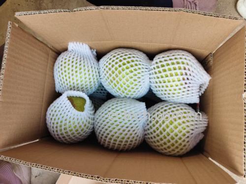 一个印有‘莱阳梨 地理标志保护产品’字样的纸箱,打开后露出内部整齐摆放的5个莱阳梨,梨子大小均匀,配有泡沫网套,箱体侧面贴有二维码溯源标签,背景为现代化农产品包装车间 莱阳梨地理标志产品认证标识与包装箱