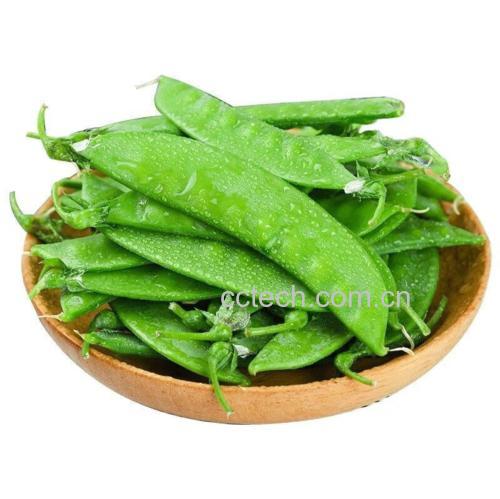 青豌豆清洗过程