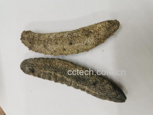 专业美食摄影:严格按药膳标准制作,海参为山东即墨刺参干发后切段,黑豆为黑龙江克山黑豆整粒炖煮,汤色醇厚无添加,体现真实功效食材形态 海参炖黑豆成品:深褐色浓汤中悬浮软糯黑豆与琥珀色海参段,汤面浮少量金黄色油脂,盛于青花瓷炖盅,旁置不锈钢勺与计时器显示“120min”