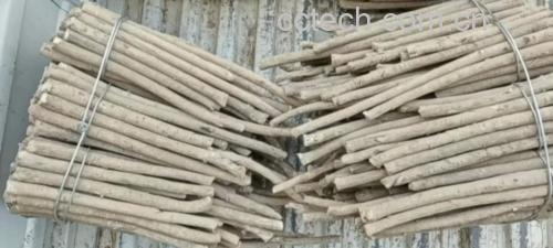 高清扫描件:真实临床应用处方,体现权威机构对本方剂量、工艺、频次的标准化建议,强调产地与加工方式 中医师手写药膳方笺特写:宣纸底纹,毛笔字书写“海参炖黑豆方:辽参15g(淡干)、克山黑豆40g,清水1200ml,砂锅文火炖120分钟,每周3次”,盖有“中国中医科学院广安门医院营养科”红色印章