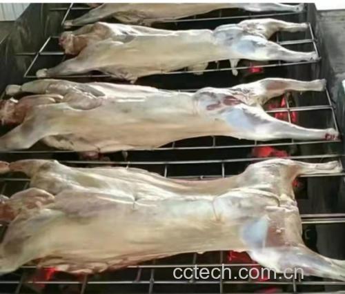 烤箱内正在烘烤的羊白条,肉块整齐摆放在金属烤架上,表面已呈金黄色并微微冒油泡,旁边配有小碗装着剩余腌料和撒料,烤箱灯光照亮食物细节 烤羊白条烘烤过程图