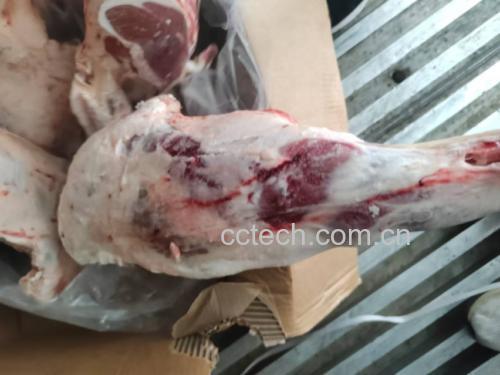 一名厨师正在宽敞明亮的家庭厨房操作台上分割白条羊,使用专业刀具将羊胴体分解为不同部位,旁边摆放着不锈钢盆和调料罐,光线自然充足 家庭厨房中处理白条羊的场景