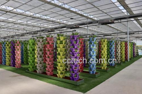 一排整齐的小黄瓜植株在现代化温室中垂直吊蔓栽培,果实自然下垂,大部分呈笔直形态;背景为透明塑料棚膜,可见补光灯设备,体现良好的光照与空间管理条件 小黄瓜植株在温室中整齐吊蔓栽培场景