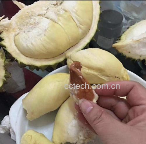 一盘新鲜剥好的金黄色金枕头榴莲果肉,旁边摆放着同批次制成的冻干榴莲片,两者颜色相近但形态差异明显:鲜果饱满湿润,冻干产品呈半透明状、体积略微缩小、表面有细微气孔,背景为白色厨房台面,光线柔和自然 金枕头榴莲鲜果与冻干成品对比图