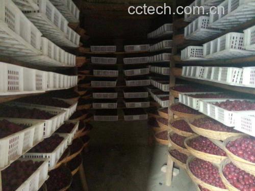 红枣片产品展示图