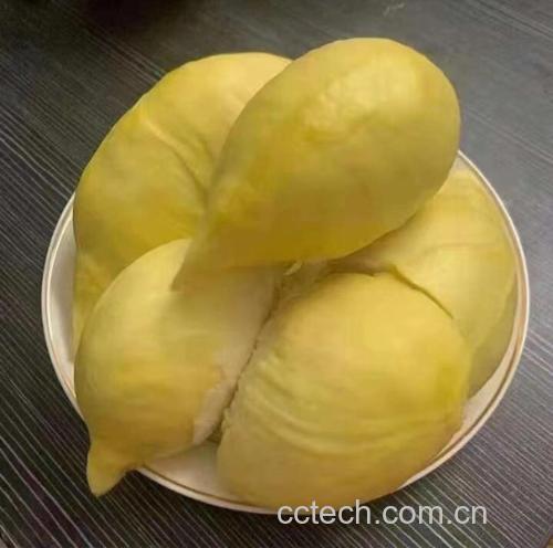 一个完整的金枕头榴莲被横向切开,露出三到四瓣饱满的金黄色果肉,果肉表面光滑有光泽,背景为浅色木质餐桌,旁边放置一把不锈钢水果刀 金枕头榴莲切开后露出金黄色果肉