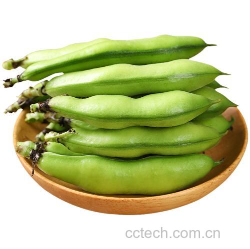 新鲜绿叶菠菜与深黑色干黑豆分别置于白色瓷盘中,背景为木质餐桌,光线柔和,突出食材原生态质感 菠菜与黑豆分开摆放的对比图
