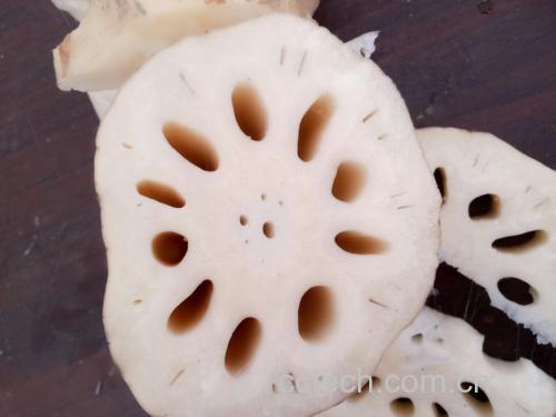 白莲藕切片特写,展现其晶莹剔透的质地 白莲藕切片摆盘图