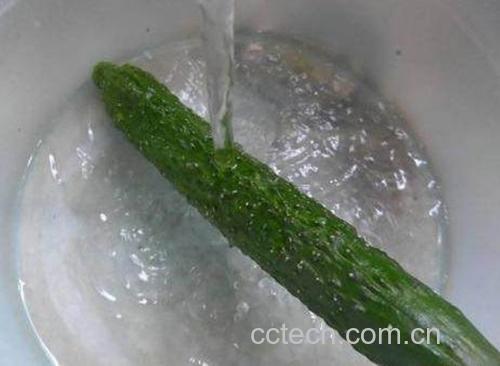 一名厨师正在用软毛刷仔细清洗一根带有细小刺粒的翠绿色小黄瓜,水槽中有流动清水,背景为厨房操作台,光线明亮自然 小黄瓜清洗过程