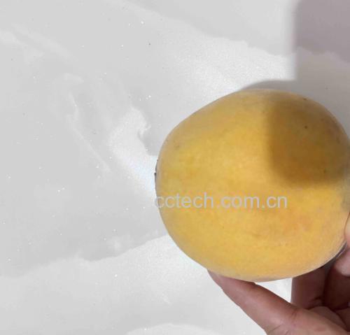 一位成年人的手正在用拇指轻压黄桃的果肩部位,动作轻柔,背景为市场摊位,周围摆放多个黄桃,突出‘手感测试’场景 手部正在轻压黄桃测试成熟度