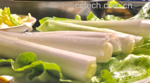 一张木质餐盘上摆放着数段切好的章丘大葱,呈放射状排列,中间放置一小碟深褐色甜面酱,旁边撒有少许香油滴落痕迹,整体风格自然质朴,突出食材本真之美 章丘大葱搭配酱料摆盘图