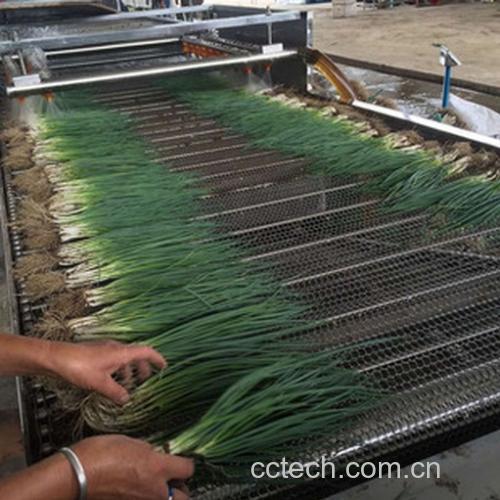 一位家庭主妇在明亮厨房中用流水清洗大葱,双手正在分开葱白根部进行冲洗,水槽中有泡沫溅起,背景可见切板和锅具,体现日常安全处理流程 家庭厨房清洗大葱场景