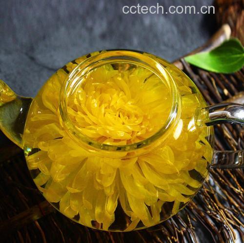 玻璃耐热茶壶实景拍摄:左侧投入3克安徽亳州野菊花干花(约15朵完整小花),右侧投入5克辽宁铁岭蒲公英根切片(浅棕黄色、断面纤维明显);注入95℃纯净水500ml,静置5分钟;茶汤呈清亮琥珀色,可见细微悬浮花粉与根部析出胶质,壶底无沉淀 野菊花蒲公英代茶饮冲泡过程示意图
