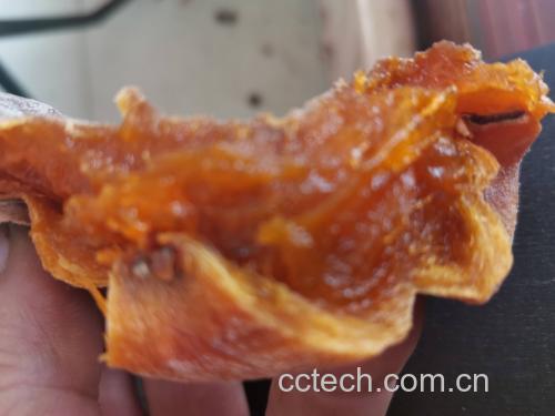 一幅医学风格的插图,左侧为正常胃部剖面图,右侧显示多个未消化的脆柿残留在胃底,周围有深色团状物聚集,标注为‘鞣酸-蛋白质复合物’,下方文字说明‘空腹食用脆柿可能导致胃结石形成’ 胃部结构示意图与柿子在胃中形成结石的过程