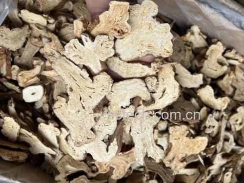 新鲜采挖并切片晾晒后的白术片,呈圆形或椭圆形薄片,表面黄白色至淡棕黄色,有细密的纵向纹理和须根痕,质地坚实,断面显油润,散发淡淡的辛香气味,背景为传统中药柜和戥秤 白术片药材特写