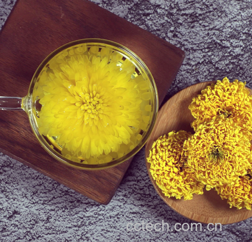 冲泡中的野菊花茶