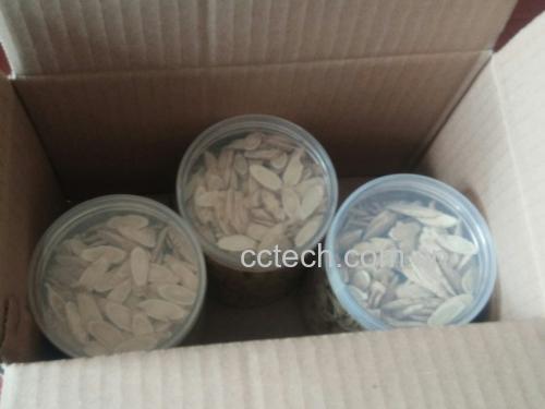 一瓶透明塑料瓶装的参芪五味子片,标签清晰标注‘参芪五味子片’及主要成分:人参、黄芪、北五味子;旁边摆放三味中药材实物:人参切片、黄芪条、北五味子干果 参芪五味子片药品包装与成分示意图