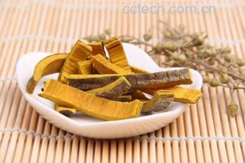 新鲜侧柏枝叶整齐摊放在竹席上进行阴干,背景为通风良好的室内环境;旁边展示已研磨完成的浅绿色侧柏细粉,置于白色瓷碗中,粉末细腻无颗粒 侧柏干燥与研磨过程