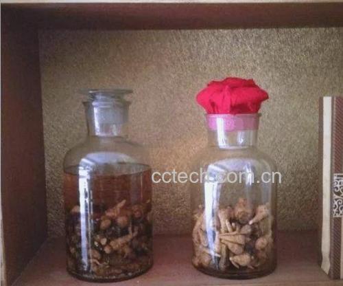 玻璃瓶装琥珀色透明胶囊,内含棕褐色细粉状内容物,旁边摆放一片干燥切片状鹿鞭,边缘整齐呈半圆形,颜色为深褐色带光泽,置于木质托盘上,背景为中药房木质柜子 人叁鹿鞭片成品展示