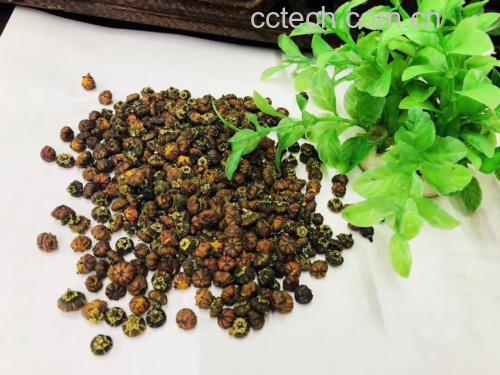 白色瓷杯中盛放冲泡好的胎菊王茶饮,水中漂浮着几粒红色枸杞,汤色清亮金黄,旁边摆放竹制茶托与干花样品,整体画面温馨自然,体现中式养生美学 胎菊王与枸杞搭配茶饮