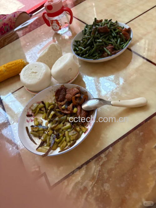 家庭餐桌上的一盘健康搭配餐食