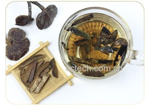 玻璃杯中浸泡的竹灵芝切片,左侧为干品,右侧为泡发后的状态,液体呈深琥珀色,杯壁可见细微气泡,说明有效成分正在溶出,旁边配有不锈钢剪刀和陶瓷茶荷展示原料处理过程 竹灵芝泡水前后对比