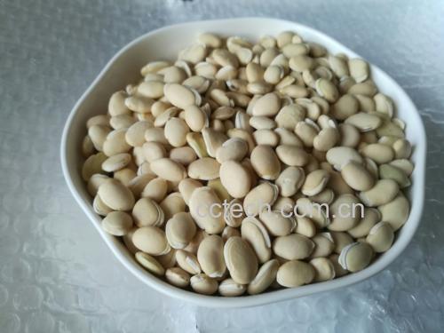 扁豆三种家常吃法高清拼图:精准呈现豆泥酱的细腻质地、焖面的油润光泽与山药粥的温润奶白质感 扁豆三种家常吃法拼图:左上为金黄细腻的扁豆豆泥酱盛于陶碗中,点缀香油与葱花;右上为油亮诱人的扁豆焖面特写,面条裹满酱汁,豆条分明;下方为奶白色扁豆山药粥,表面浮着细小山药粒与豆沙云纹