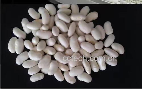 营养学实证图解:对比展示芸豆生食与‘3分钟焯水+冰镇’处理后的核心营养与安全指标变化,强调数据可信度与健康增益 营养师手写笔记特写:A4纸上清晰列出‘芸豆焯水3分钟营养数据对比表’,左侧‘生芸豆’列含皂苷含量、凝集素活性;右侧‘焯3分钟+冰镇’列标注毒素清除率>99.8%、维C保留率88%、膳食纤维完整率100%、铁吸收率↑32%