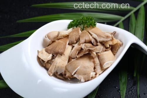 新鲜绿色西兰花与棕褐色香菇整齐摆放在白色陶瓷盘中,背景为厨房木质台面,自然光线照射,突出食材的新鲜质感与天然色泽 西兰花与新鲜香菇并列摆放的高清特写
