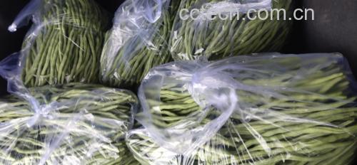扁豆角挑选示意图