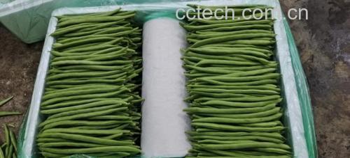 正在锅中翻炒的四季豆,呈现翠绿色泽 四季豆炒制过程图