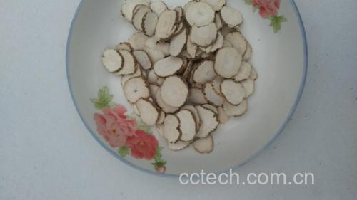 俯拍高清图:青花瓷盘中码放整齐的白芷红烧肉块(每块约4×4cm),表面油润透亮,可见琥珀色酱汁包裹,撒新鲜小葱末;盘边点缀两片完整白芷饮片与一小枝迷迭香,强调‘药食同源’主题 白芷红烧肉成品摆盘