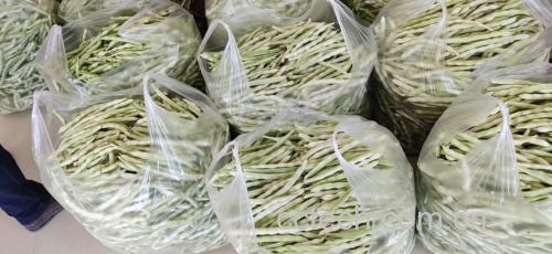锅中沸腾的水正在焯烫芸豆,旁边摆放着已焯好和未焯水的对比样本 芸豆焯水过程图