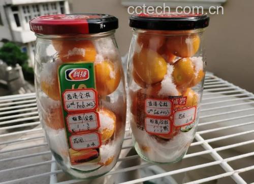 信息图表展示金桔与橙子、柠檬、柚子在维生素C含量、黄酮类物质浓度、柠檬烯比例等方面的对比柱状图,配以金桔剖面结构标注其果皮、果肉、种子部位的营养分布,突出金桔在护肺营养素上的优势 金桔与其他柑橘类水果对比图示