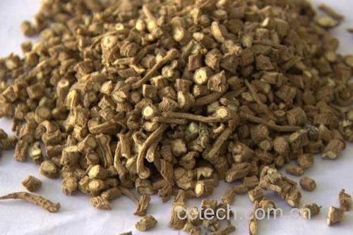 三组中药饮片横向排列展示:左侧为正品北柴胡,断面黄白色、结构清晰;中间为南柴胡,断面偏红褐、木质部疏松;右侧为劣质柴胡(疑似掺杂),断面灰暗、有裂纹和霉点;每组下方标注名称,并配有标尺和光源说明 市售北柴胡饮片断面对比图