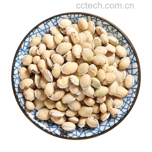 一张家庭餐桌上摆放着一碗米饭和一盘炒苦扁豆,旁边还有其他家常菜,一家人围坐准备用餐,营造温馨就餐场景,突出苦扁豆作为日常健康菜肴的角色 家庭餐桌上的苦扁豆菜肴
