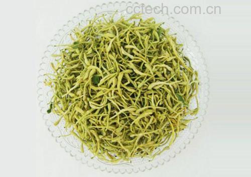 干燥的金丝皇菊花朵整齐排列在竹制托盘上，旁边放置放大镜和水质测试仪，象征品质检测场景