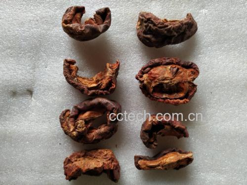 木瓜剖面结构示意图，标注苦味物质富集区：果皮下表皮（深红色）、种子腔周边5mm果肉（橙红色）、乳汁导管分布区（白色细线）