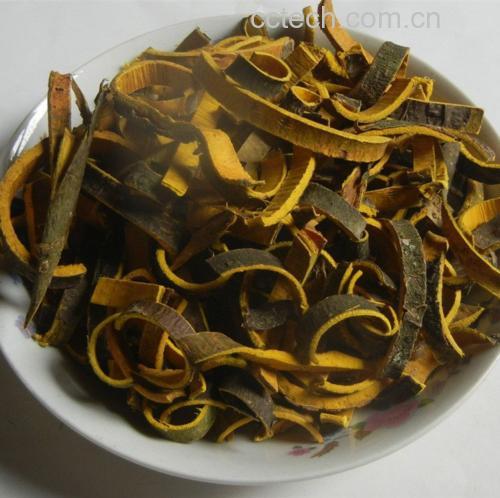 一名身穿白色实验服的研究人员正在专注操作一台高效液相色谱仪(HPLC),仪器屏幕显示复杂的化学成分波形图,旁边摆放着多个标有‘侧柏叶提取物’字样的试管,桌上还有记录本和笔,背景为整洁的现代化中药分析实验室,体现科学研究的专业性与严谨性 实验室研究人员正在操作高效液相色谱仪分析侧柏叶提取物成分