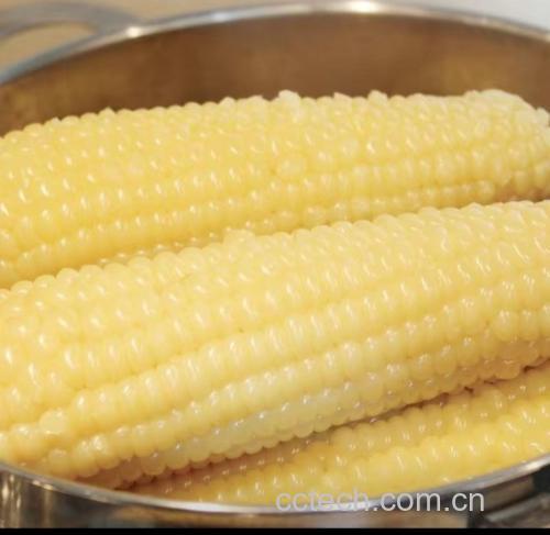 鲜糯玉米蒸煮成品图