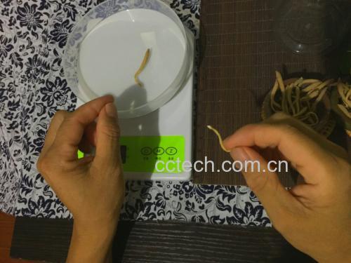 高精度称量场景图:突出显示0.01g级电子天平读数、药匙规格及粉末状态,强调家庭用药计量的科学性要求 专业电子天平称量川贝母粉末特写:不锈钢托盘上置白色药匙,盛有细腻乳白色粉末,显示屏清晰显示“1.00 g”