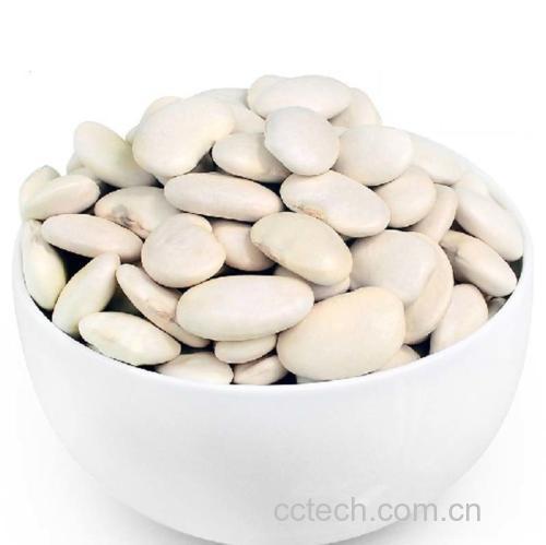 一盘色泽翠绿的清炒芸豆,豆条均匀切段,表面微带油光,点缀少许红椒丝,盛放在白色瓷盘中,背景为厨房操作台 清炒芸豆成品图