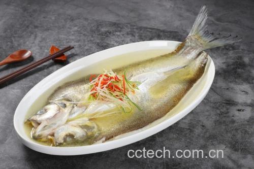 一位家庭主妇正在厨房用瓷盘盛放刚出锅的清蒸带鱼,菜肴色泽清亮,鱼身上点缀着姜丝和葱段,蒸汽袅袅升起,桌面上摆放酱油碟和柠檬片,体现健康清淡的烹饪方式 家庭烹饪带鱼场景