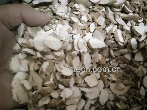 一张高清图片展示优质白芷药材的标准特征:左侧为合格白芷切片,颜色黄白、断面细腻、无黑心;中间为劣质白芷,颜色发暗、有焦斑;右侧为发霉白芷,表面可见绿色霉点。下方配有文字说明‘优质白芷鉴别要点:色正、气香、质坚、无杂质’ 白芷药材质量鉴别示意图