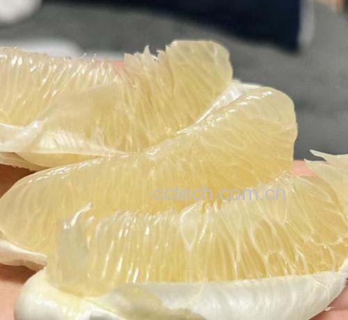 柚子与冰糖原材料,展示新鲜柚子、冰糖块和清水的搭配 柚子与冰糖原材料