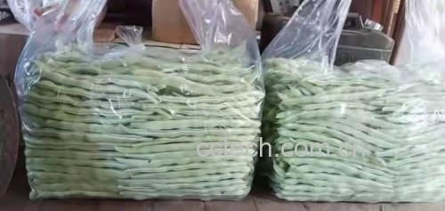展示新鲜猪肚和泡发好的芸豆 猪肚与芸豆食材展示