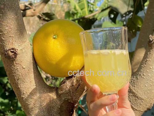 插图展示不同人群饮用柚子水的健康状态,包括上班族、老年人和健身者 柚子泡水与健康人群插图